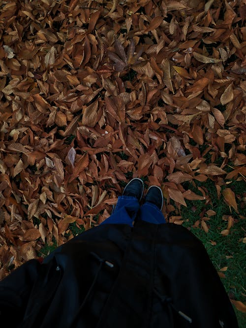 Person Stepping on Dry Leaves