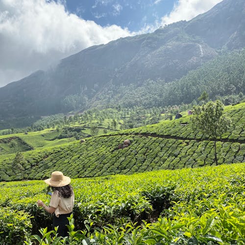 A Woman Farmer in the Farm