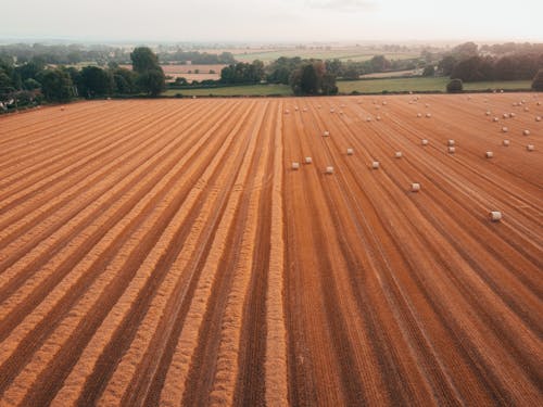 Photos gratuites de agriculture, arbres, balles de foin