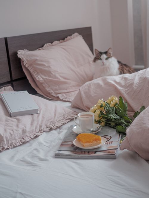 Free A cozy bed scene with coffee, cake, flowers, and a cat adding warmth and comfort. Stock Photo