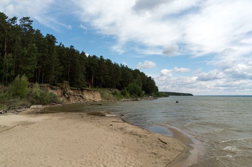 Free Serene view of Siberian beach with pine forest, sand, and blue sky under scattered clouds. Stock Photo