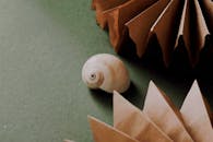 Brown and White Seashell on Green Textile