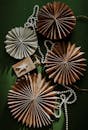 Brown and White Pine Cone