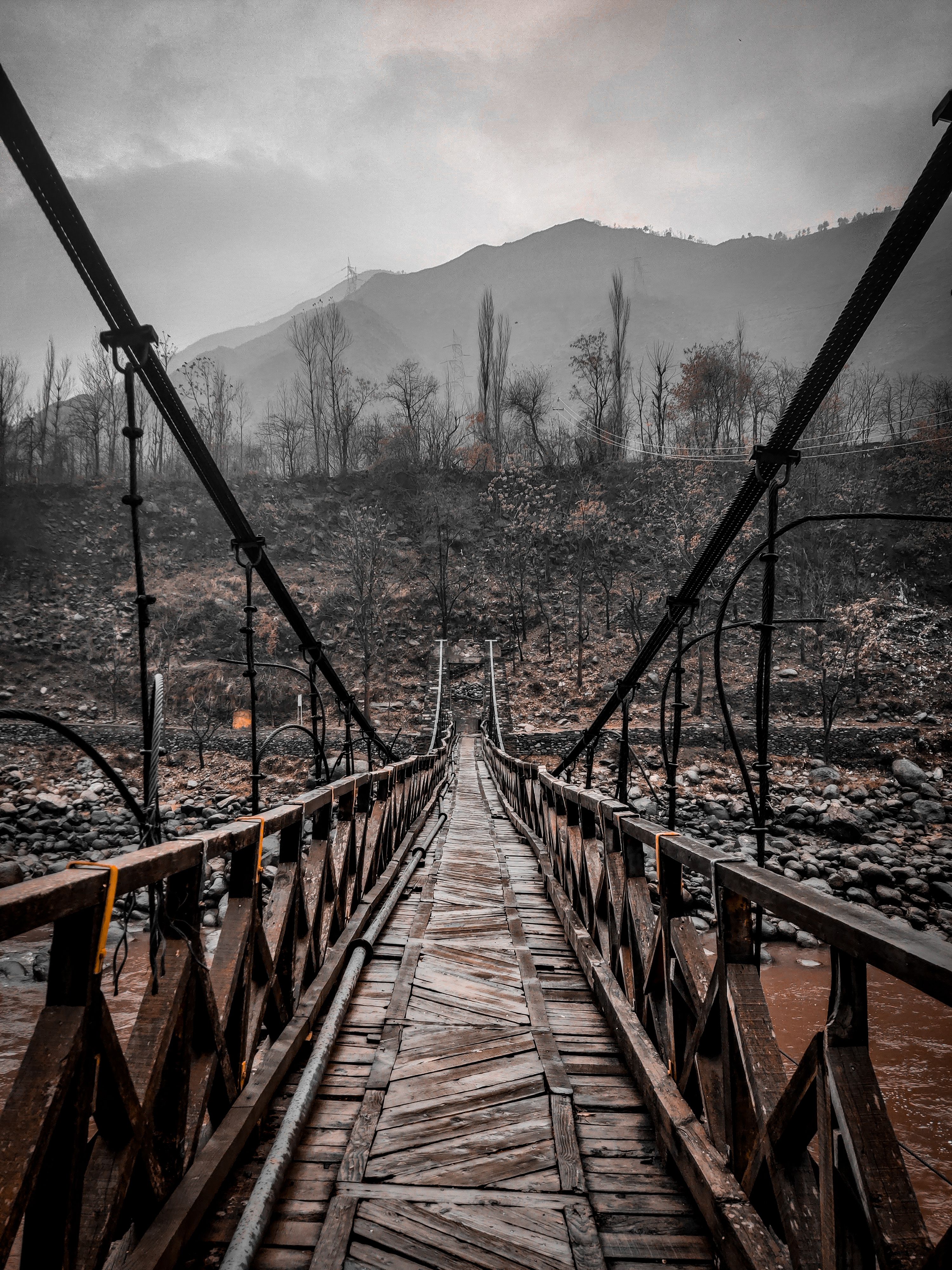 A Wooden Bridge over a River at a Park · Free Stock Photo