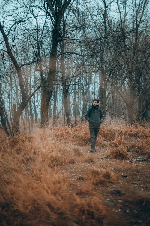 Free A man in a black jacket walks through a leafless forest with hands in pockets during winter. Stock Photo