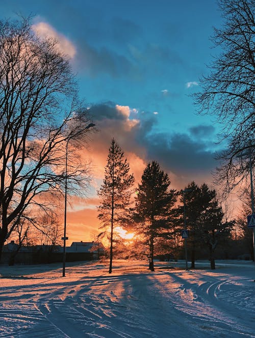 Rural Area at Sunset 