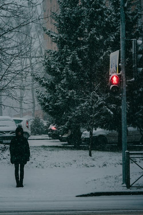 Person in Black Coat Standing on Snow Covered Ground Near Traffic Light