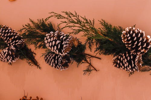 Free stock photo of christmas, christmas ornament, pine cone