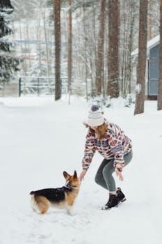 A young woman in winter attire playing with a Welsh Corgi amidst snow-covered trees.