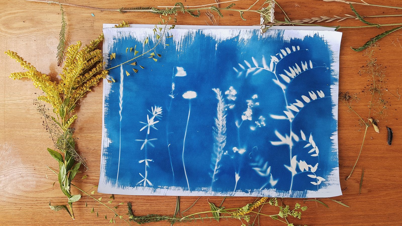 Nature's Imprint - Elegance of Botanical Printmaking