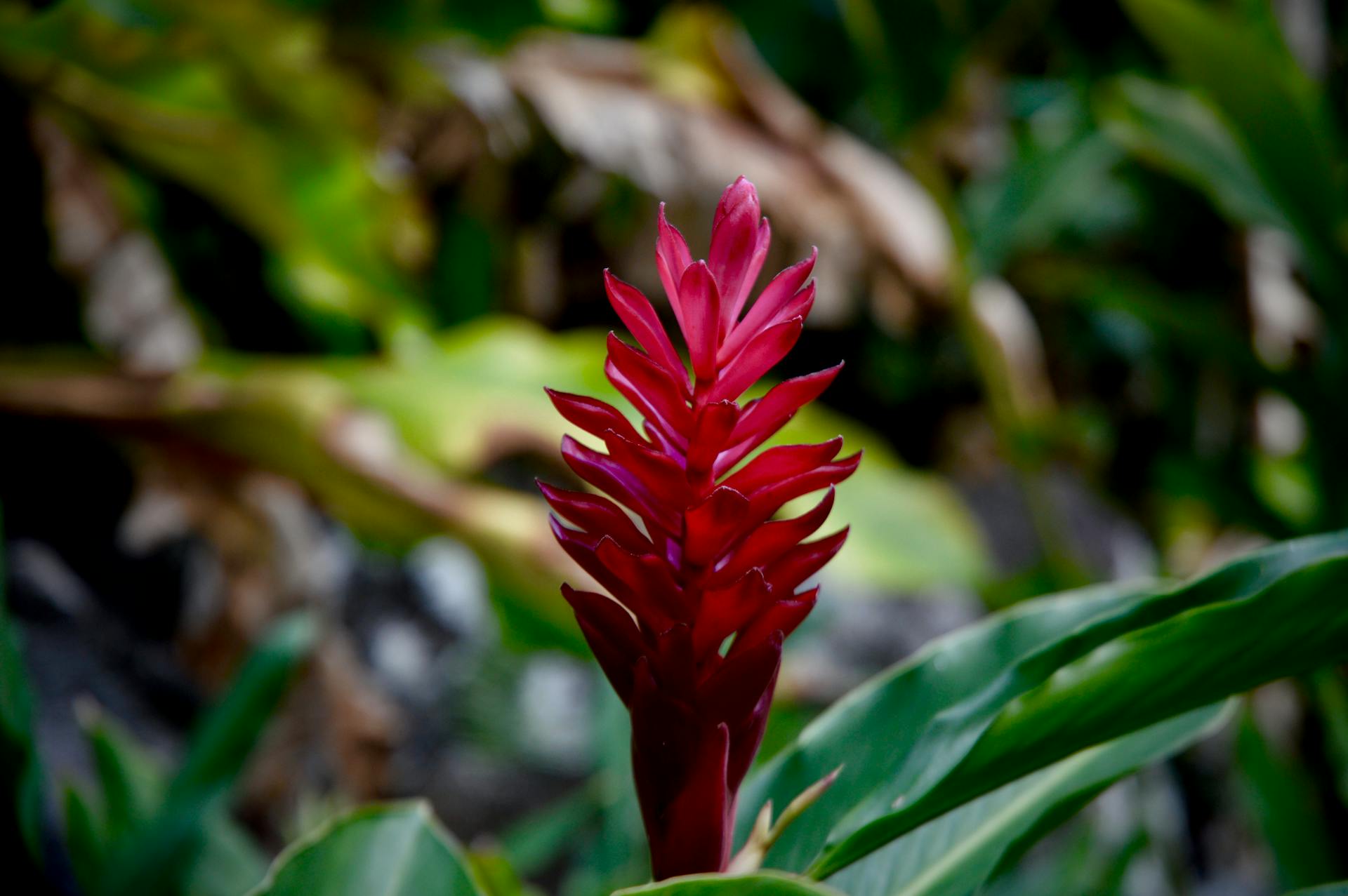 Mindfulness Meditation