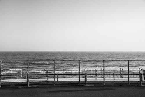 Grayscale Photography of Fence Beside Ocean