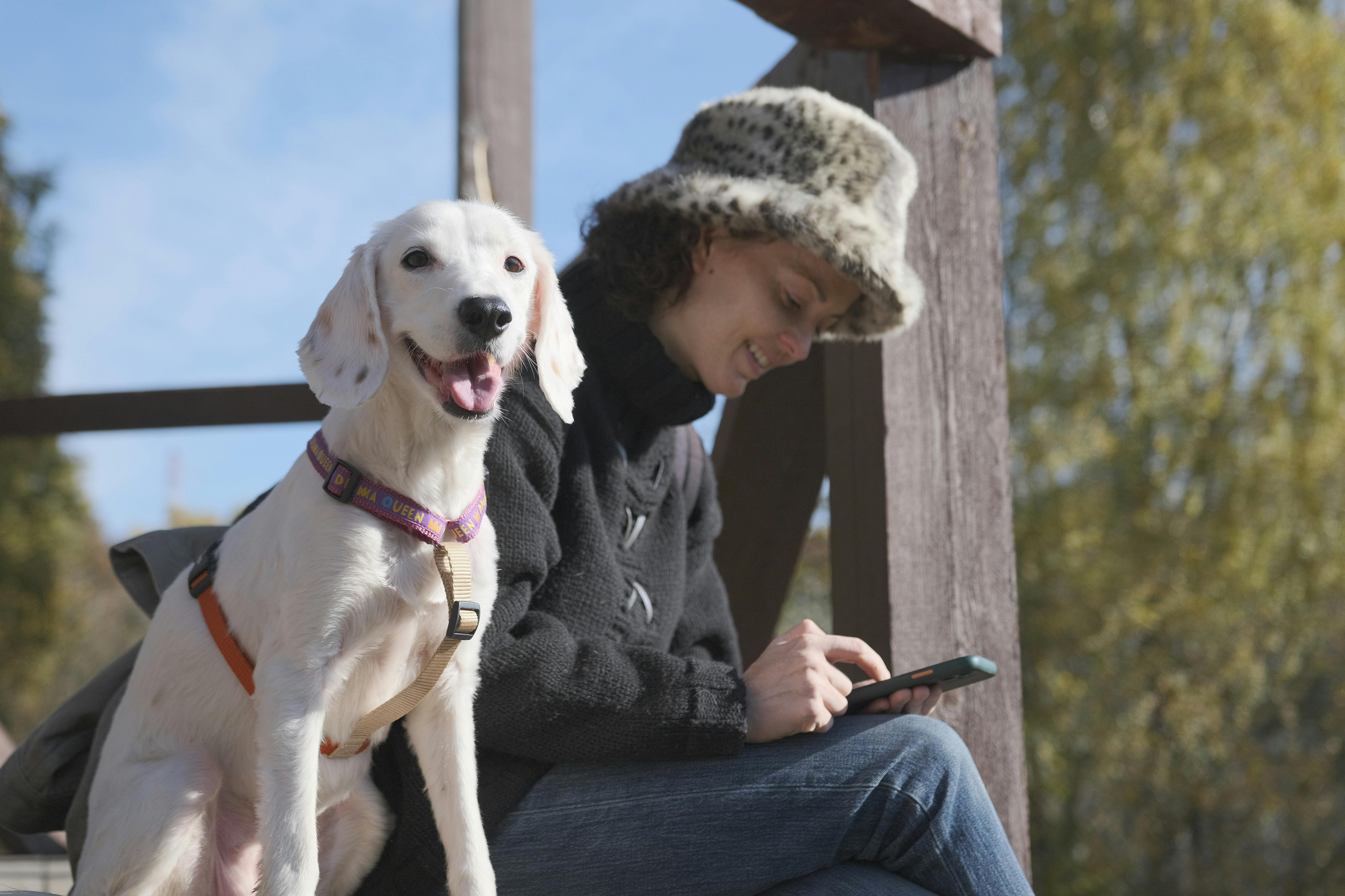 Amazon Pet Days 2026: 65 top deals on pet food, toys, grooming, and health supplies to shop now — Photo by Anna Galimova on P