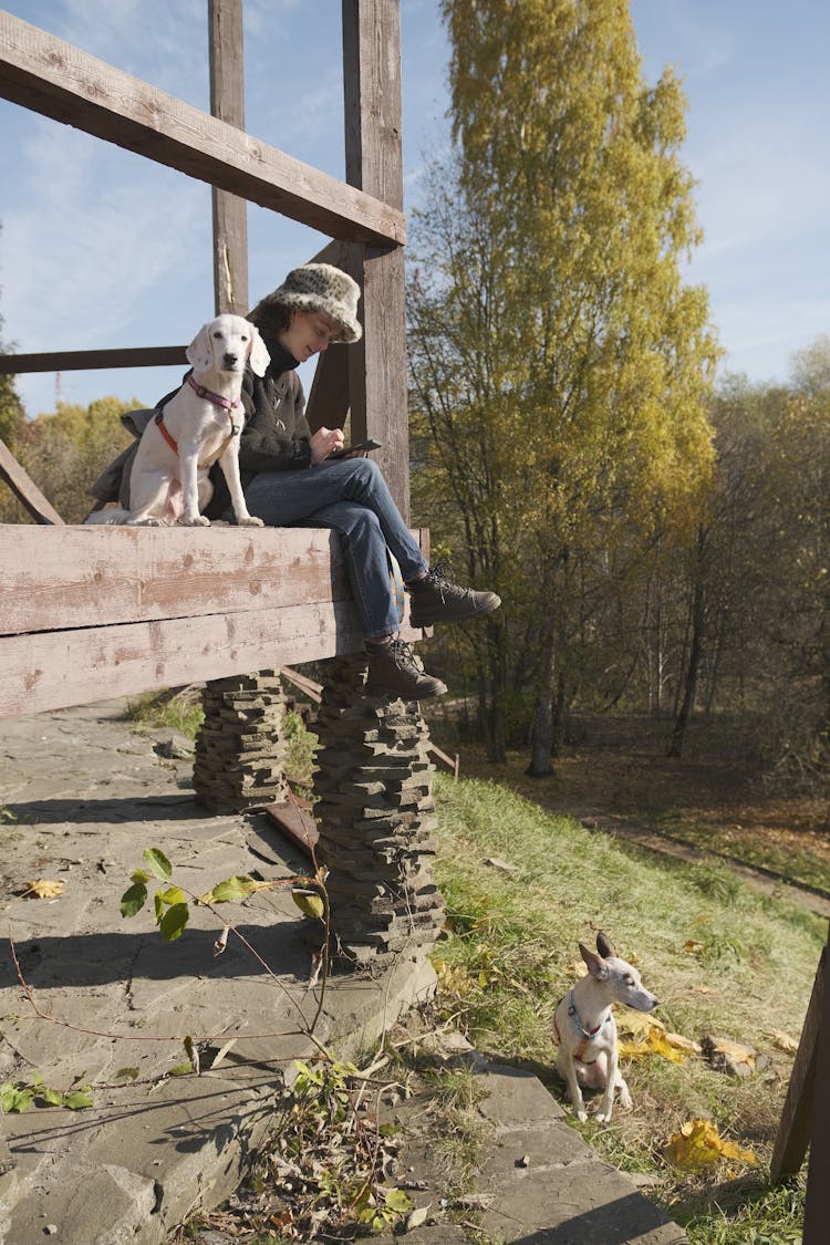 Woman Sitting On A Porch With Two Dogs 