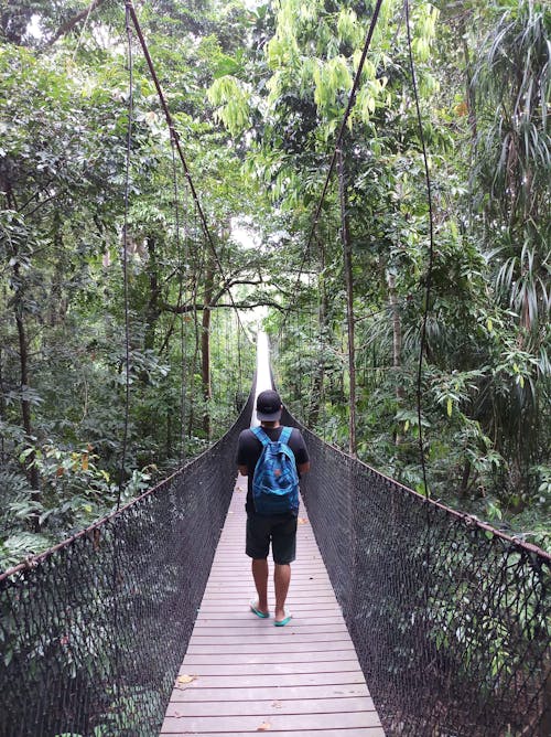 Mann, Der Auf Hängende Brücke Im Wald Geht