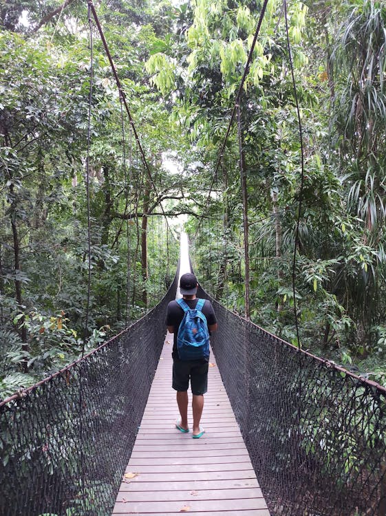 Hombre Caminando Sobre Un Puente Colgante En El Bosque