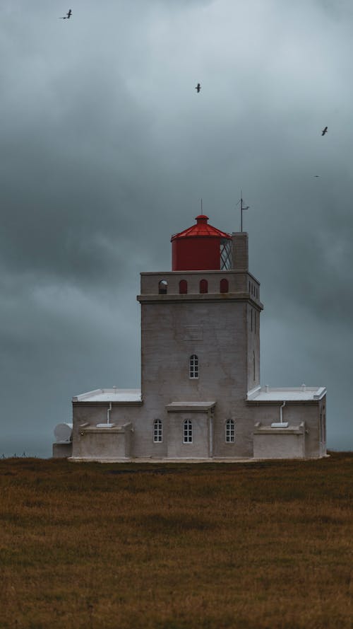 Kostenloses Stock Foto zu dyrholaey leuchtturm, island, lokale sehenswürdigkeiten