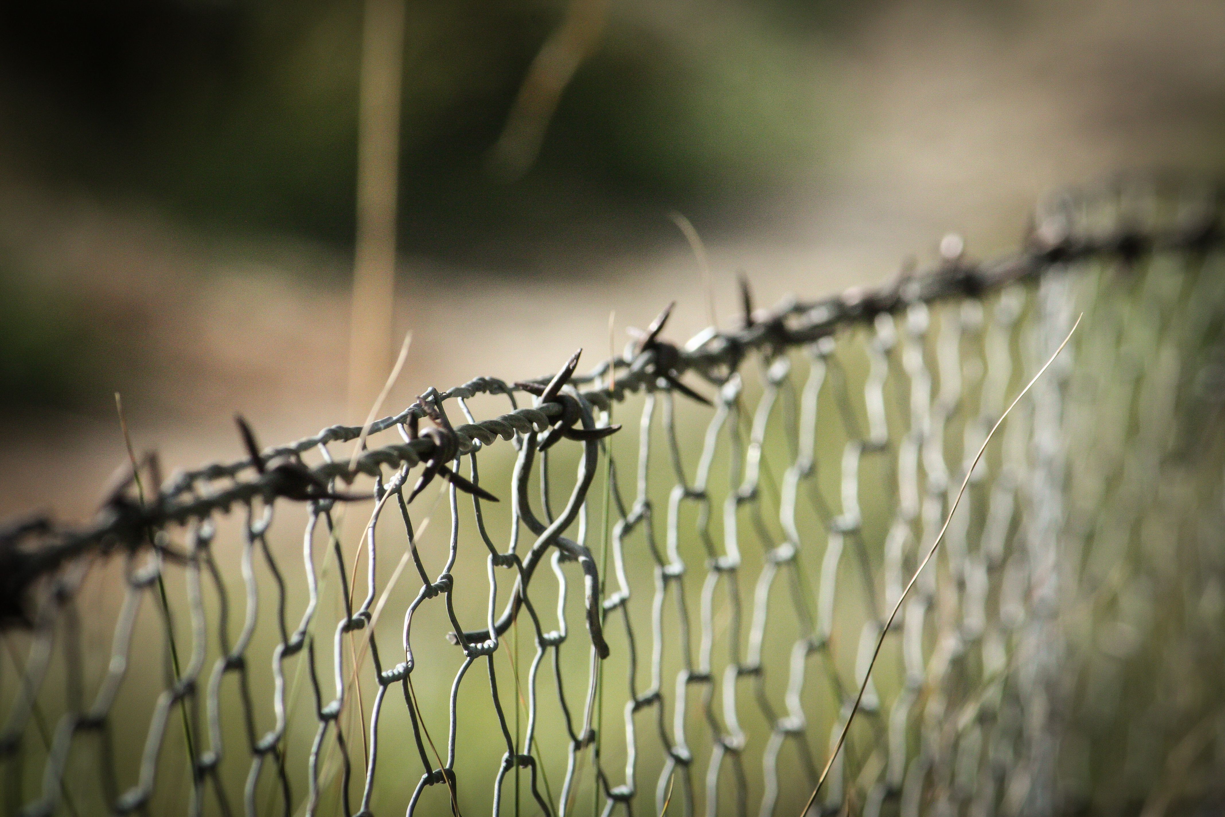 Close-up of a barbed wire fence with a blurred outdoor background