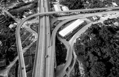 Photographie De Vue De Dessus En Niveaux De Gris Des Routes Près Des Arbres