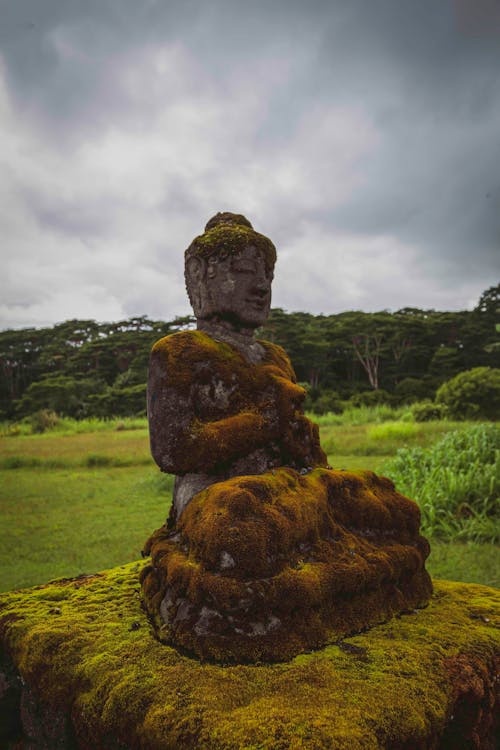 Základová fotografie zdarma na téma buddha