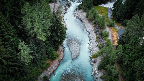 Free Aerial shot of a serene river flowing through the lush, green forest of Whistler, BC. Stock Photo