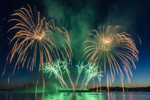 Vibrant fireworks display lighting up the night sky over scenic Vancouver Bay.
