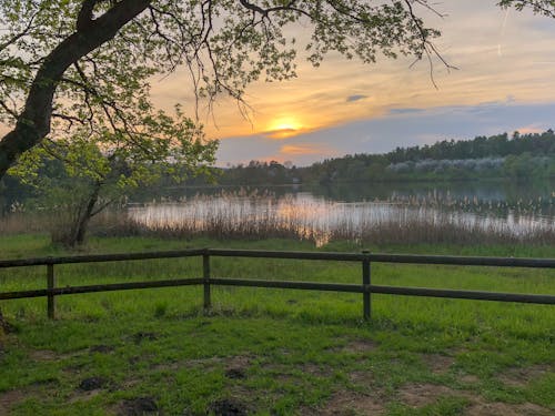 Ilmainen kuvapankkikuva tunnisteilla aamu, aita, auringonlasku