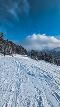 A serene winter mountain scene with snow-covered trees and tracks under a bright blue sky.
