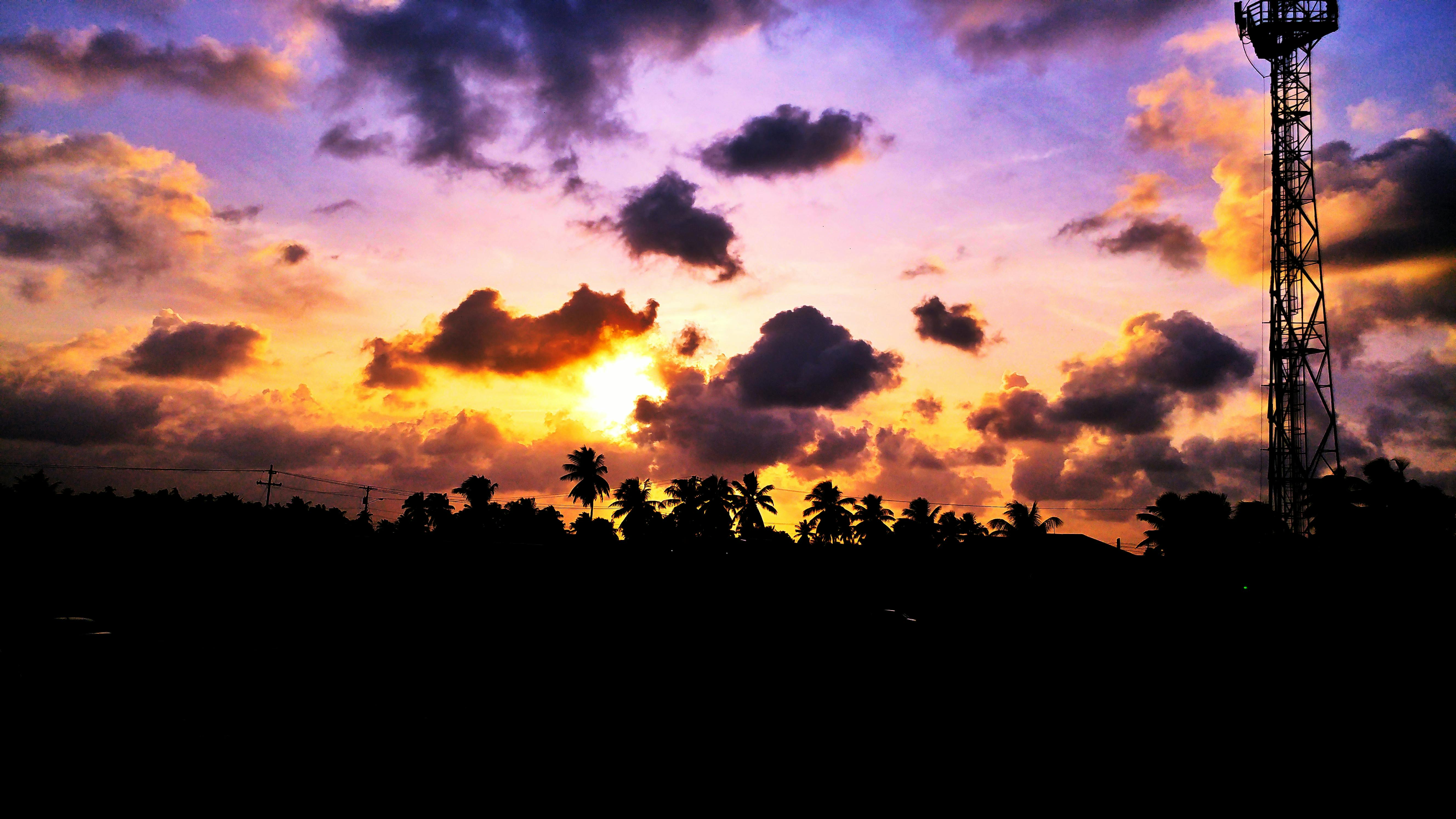 日落充满活力，棕榈树与塔楼的轮廓映衬着色彩缤纷的天空