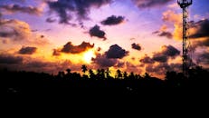 日落充满活力，棕榈树与塔楼的轮廓映衬着色彩缤纷的天空