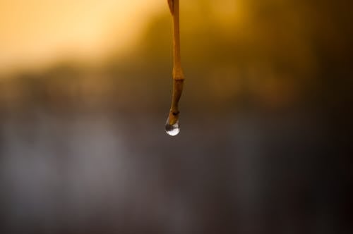 Tilt Shift Photo of Water Droplet