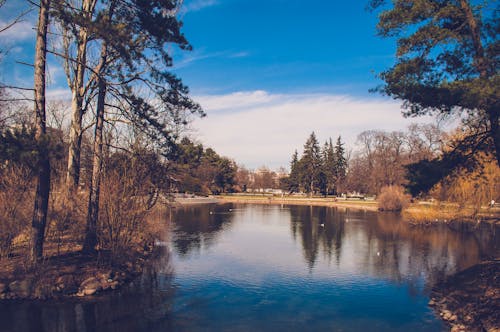 Fotobanka s bezplatnými fotkami na tému cestovať, denné svetlo, exteriéry