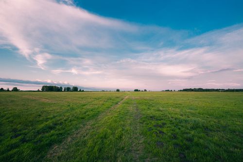 Free Expansive green countryside field with a clear blue sky, perfect for tranquility and relaxation. Stock Photo