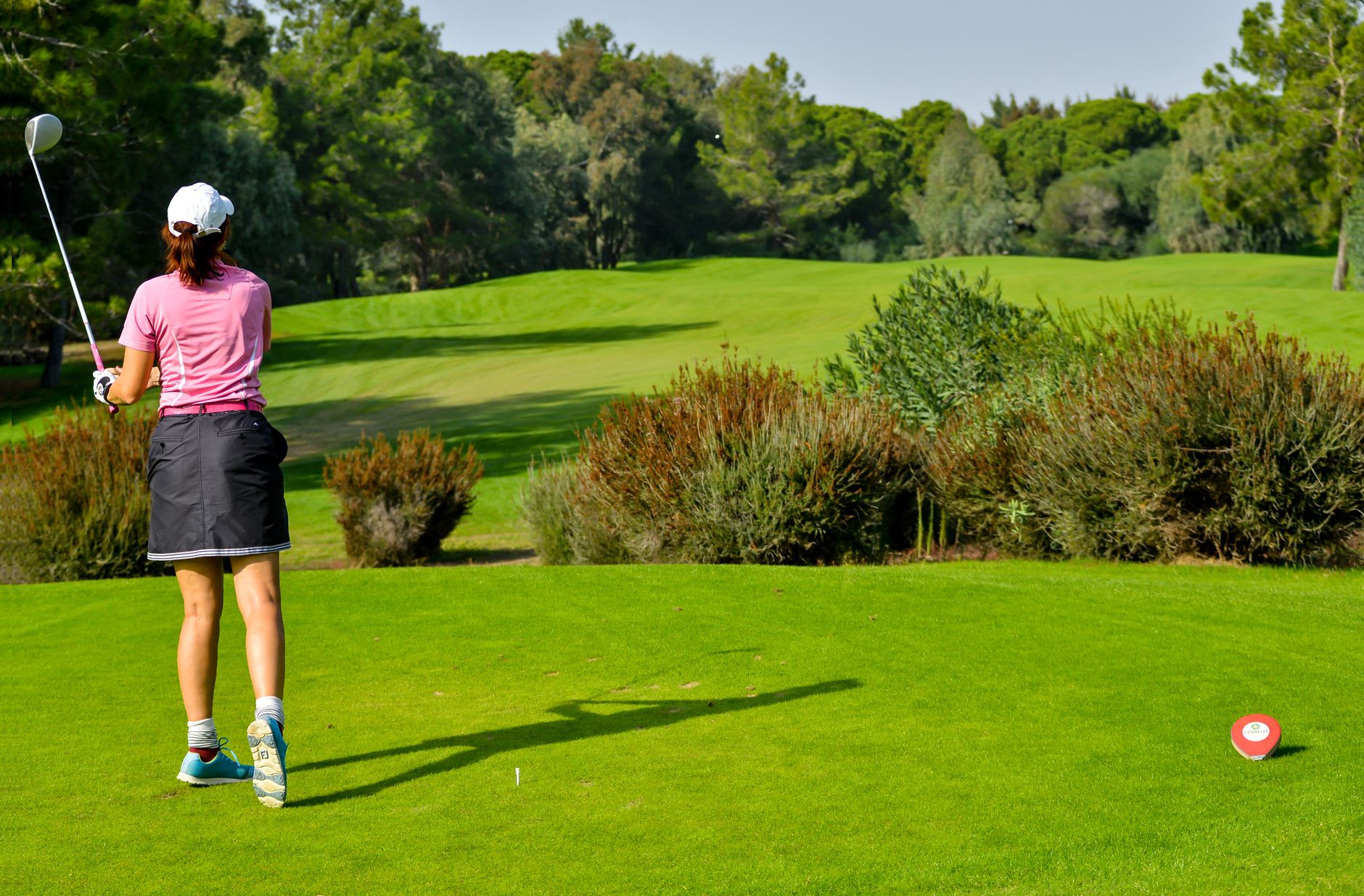 golf betting oddschecker
