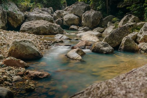 Free Peaceful river scene with clear water flowing over smooth rocks and lush foliage. Stock Photo