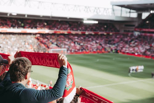 Foto stok gratis banner, hadirin, lapangan sepak bola