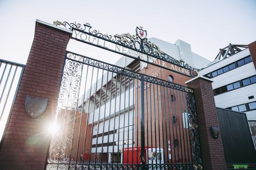 Isak and Gakpo Face Fitness Tests for Liverpool vs Man City Oct 11