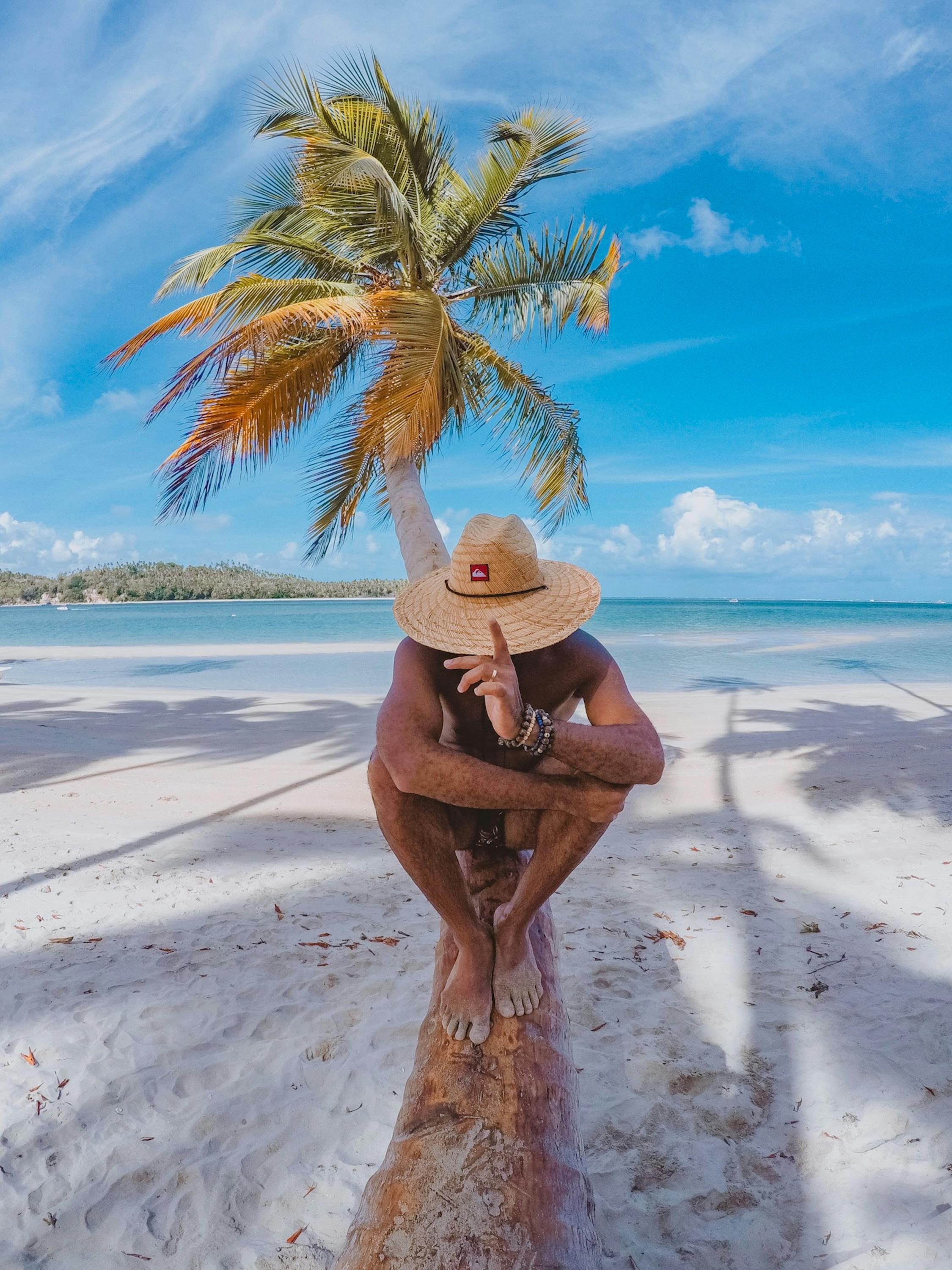 巴西一名戴草帽的男子坐在棕榈树下的海滩原木上，享受着阳光明媚的一天
