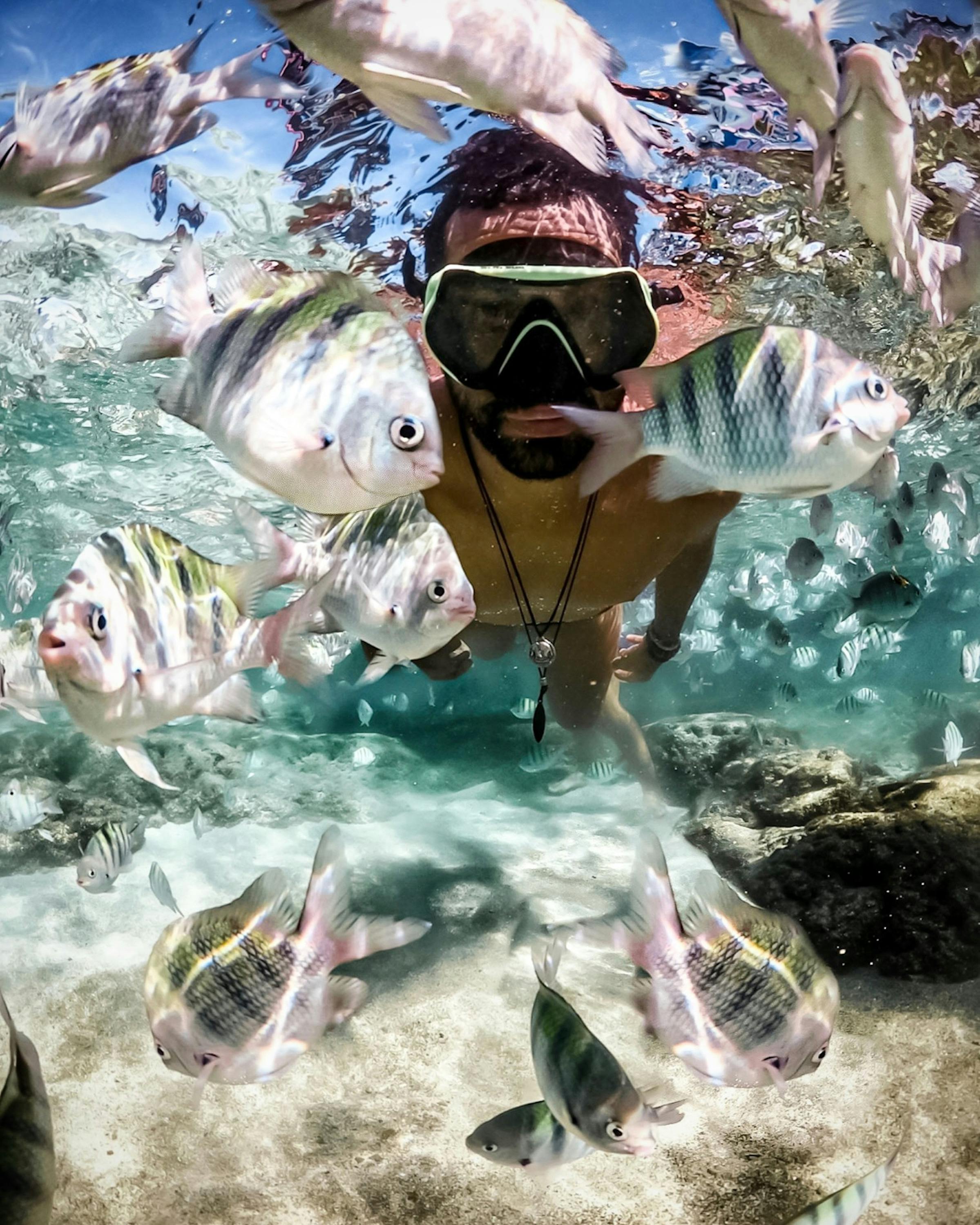 underwater view of man with goggles and fish