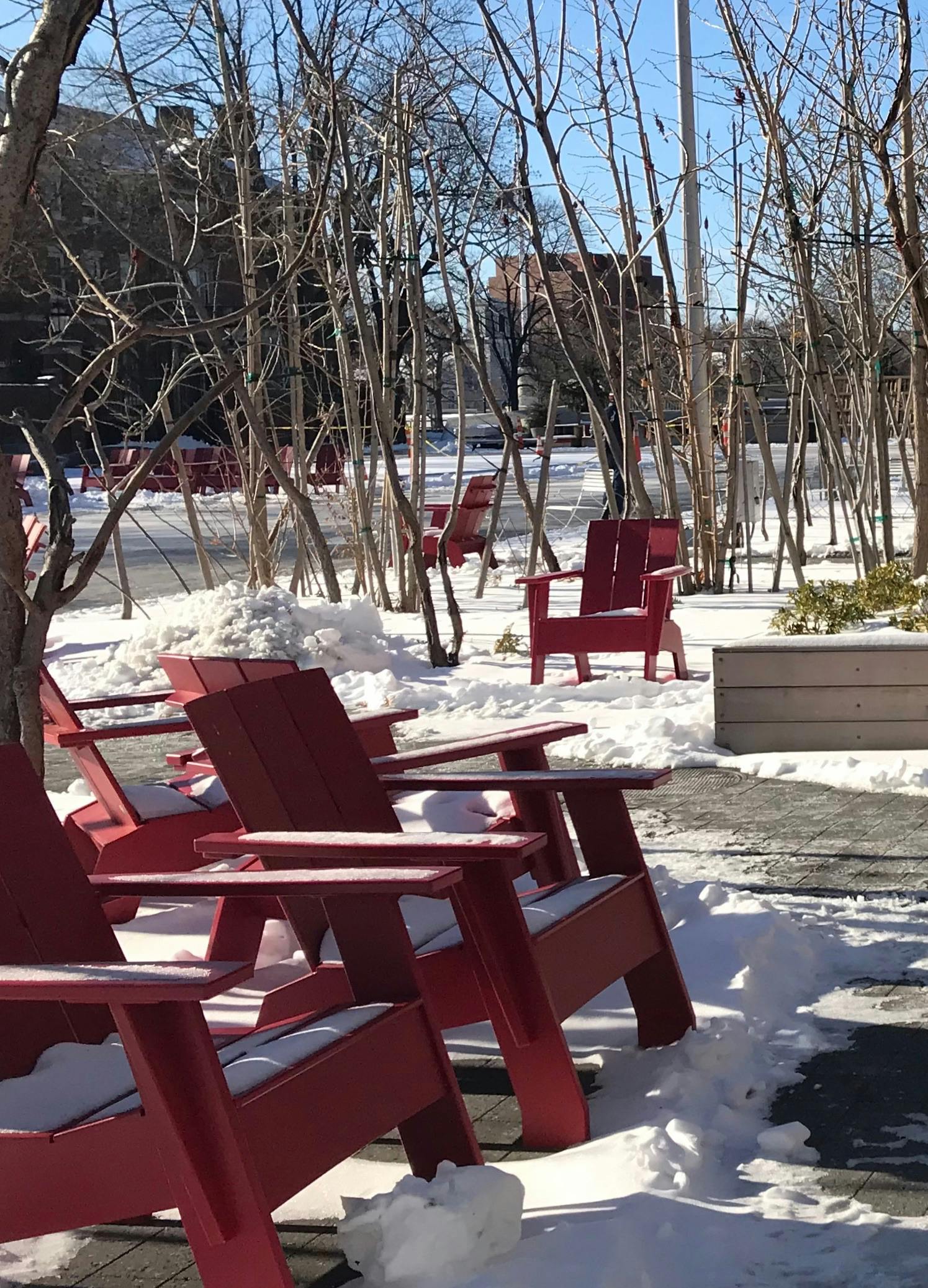 Free stock photo of armchairs, red armchair, snow