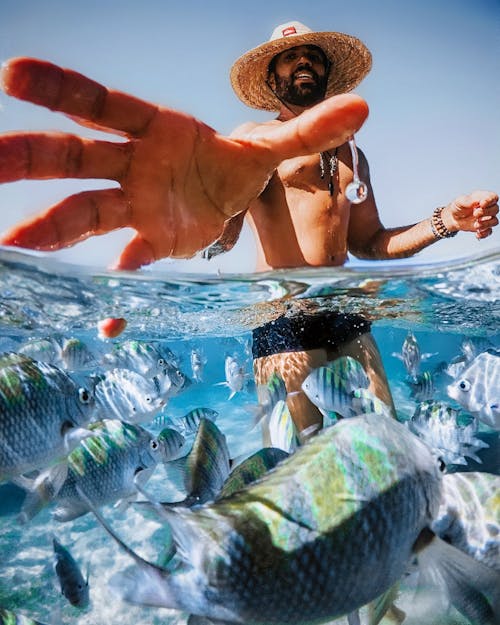Ilmainen kuvapankkikuva tunnisteilla hattu, kädet ihmisen kädet, kala