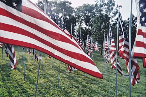 Red and White Flags on Green Grass Field