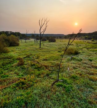 Peaceful rural landscape in Minnesota with grass field and sunset.