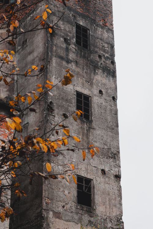 Free A tall, abandoned concrete tower with broken windows and autumn leaves in the foreground. Stock Photo