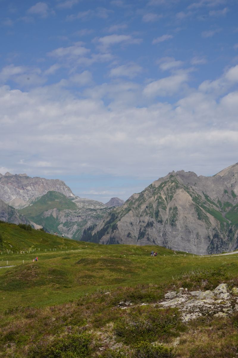 Breathtaking view of the Austrian Alps with lush greenery and towering peaks.