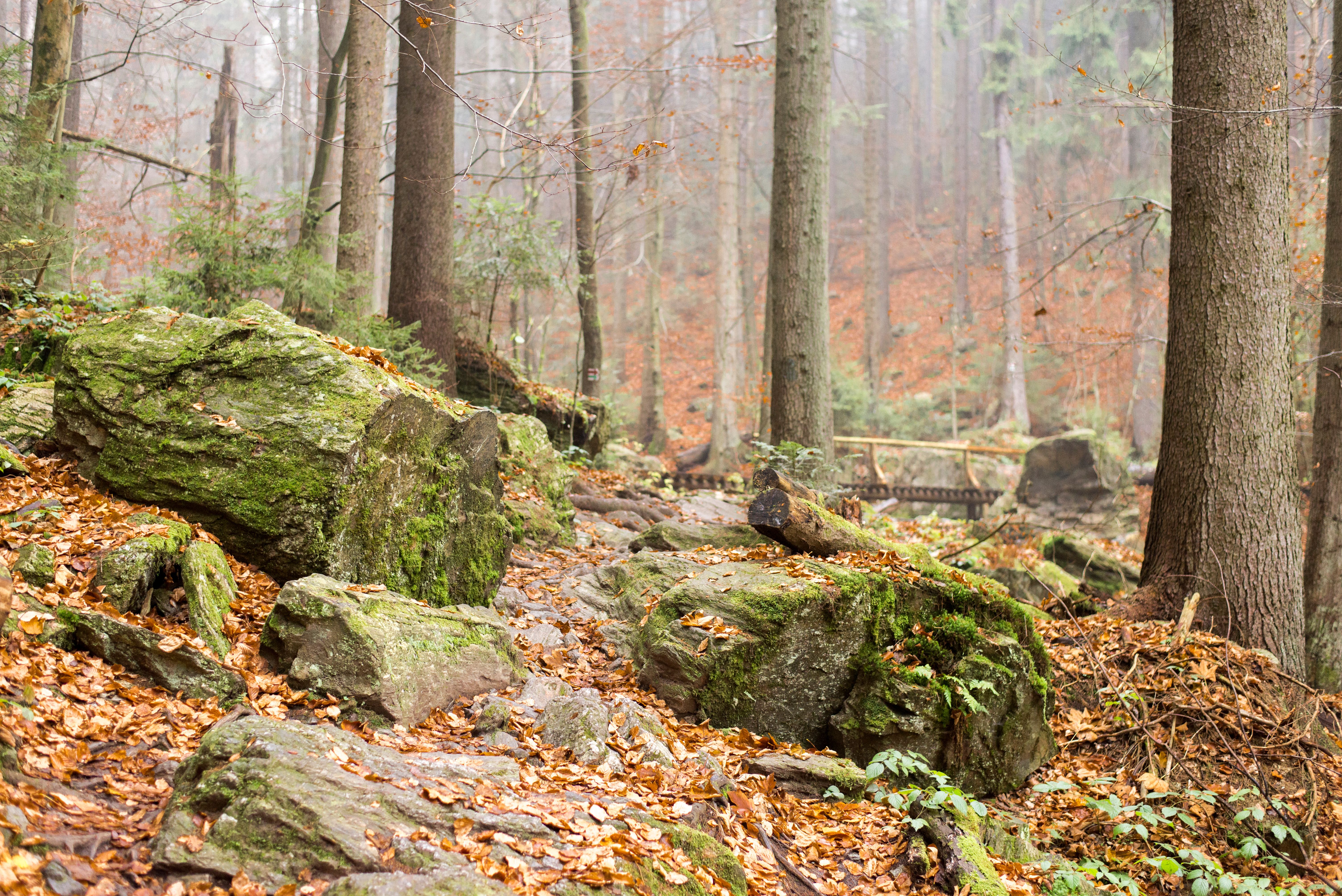Peak District in November: What to Expect