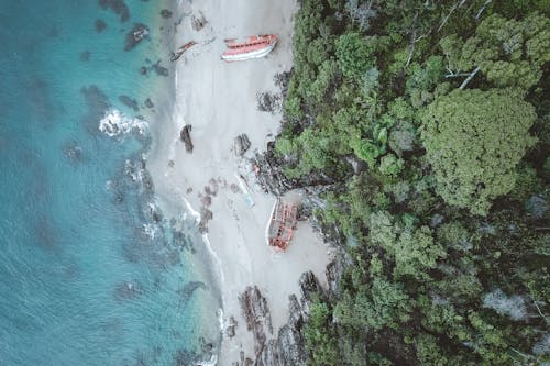 Drone Shot of a Beach