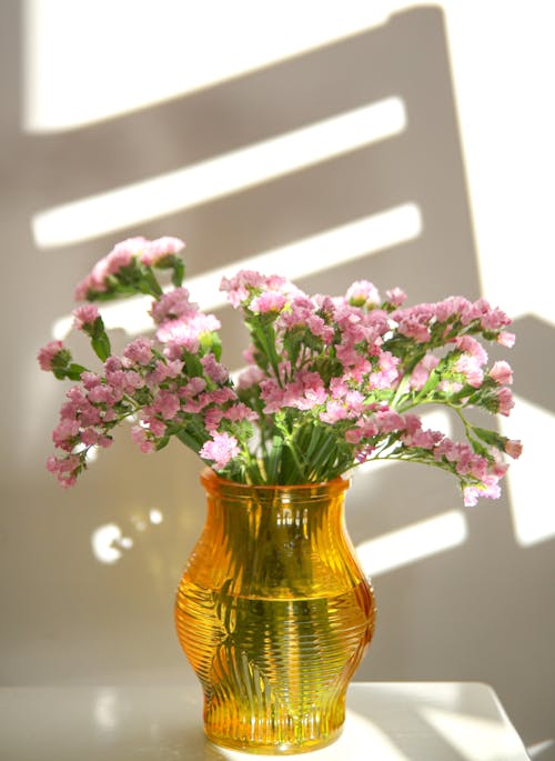 Fotos de stock gratuitas de florero, flores, luz del sol