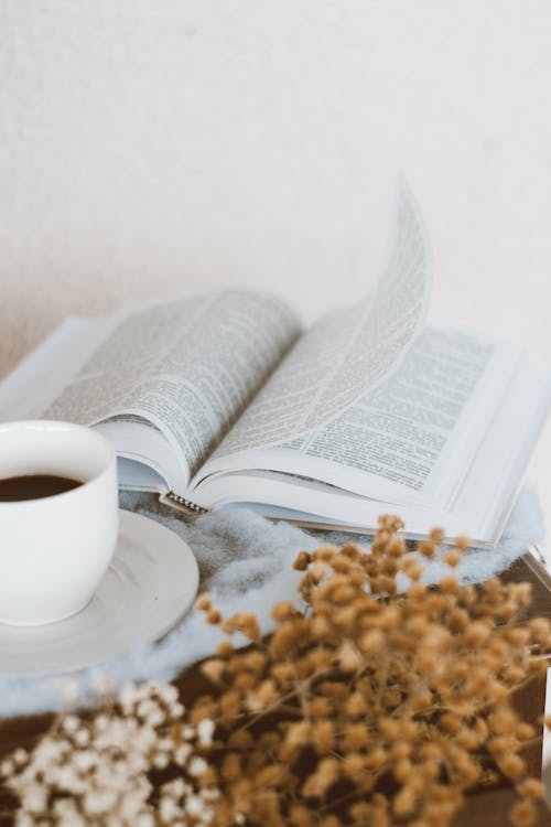 Free Coffee Cup and Open Book Stock Photo