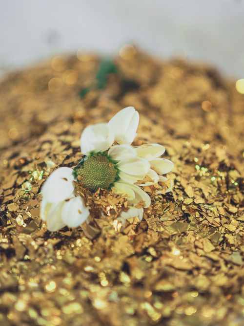 Free A close-up of a daisy surrounded by sparkling golden glitter, epitomizing elegance and beauty. Stock Photo